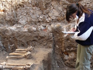  archaeologist at work 